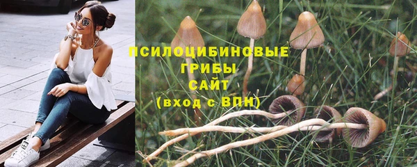 шишки Алексеевка