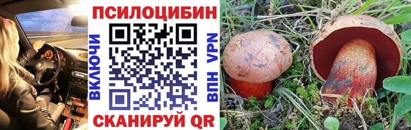 MEGA вход  Рыбное  Галлюциногенные грибы MAGIC MUSHROOMS 